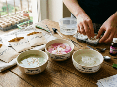 Gemini_Generated_Image_2rf3dv2rf3dv2rf3