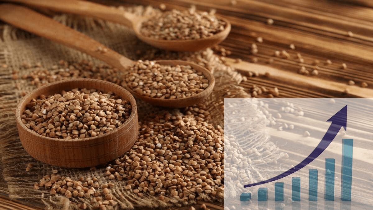 imgonline-com-ua-PicOnPic-kBwxDLuiUnqOy