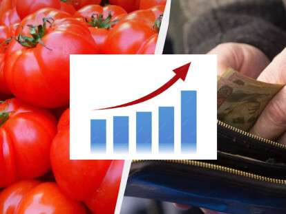 помідори подорожчали