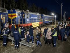 Gemini_Generated_Image_8bbuf8bbuf8bbuf8