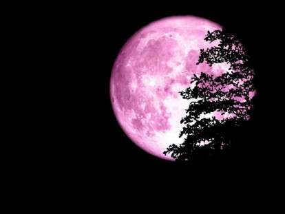 photo_2026-04-01_10-03-15