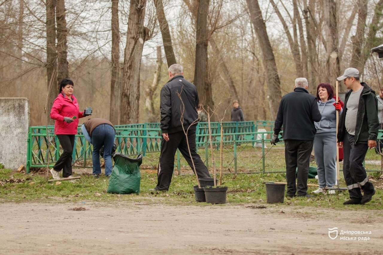 Прибирали листя, садили дерева та фарбували паркани: на лівому березі міста пройшли масштабні толоки в межах акцій #Чистий_Дніпро та #Дніпро_квітучий