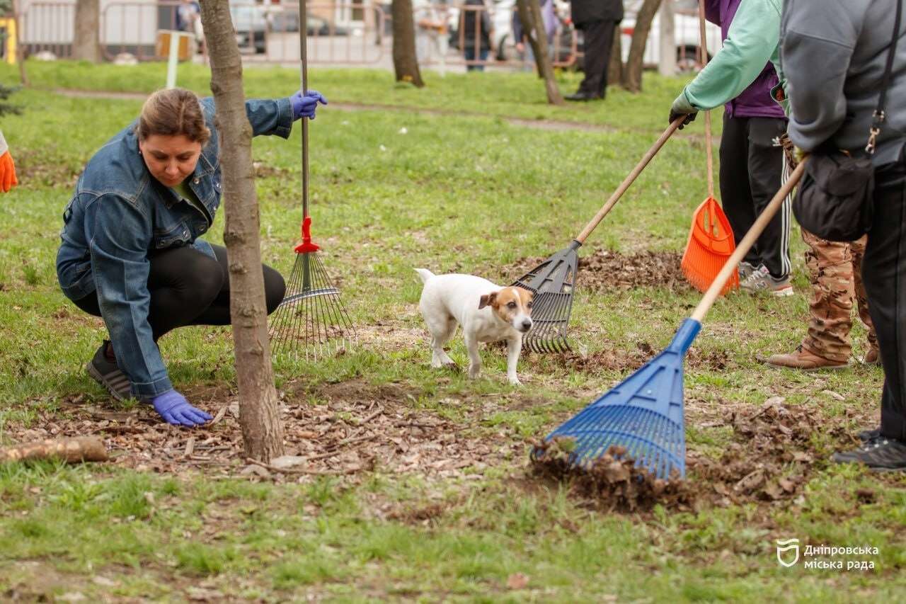 Прибирали листя, садили дерева та фарбували паркани: на лівому березі міста пройшли масштабні толоки в межах акцій #Чистий_Дніпро та #Дніпро_квітучий