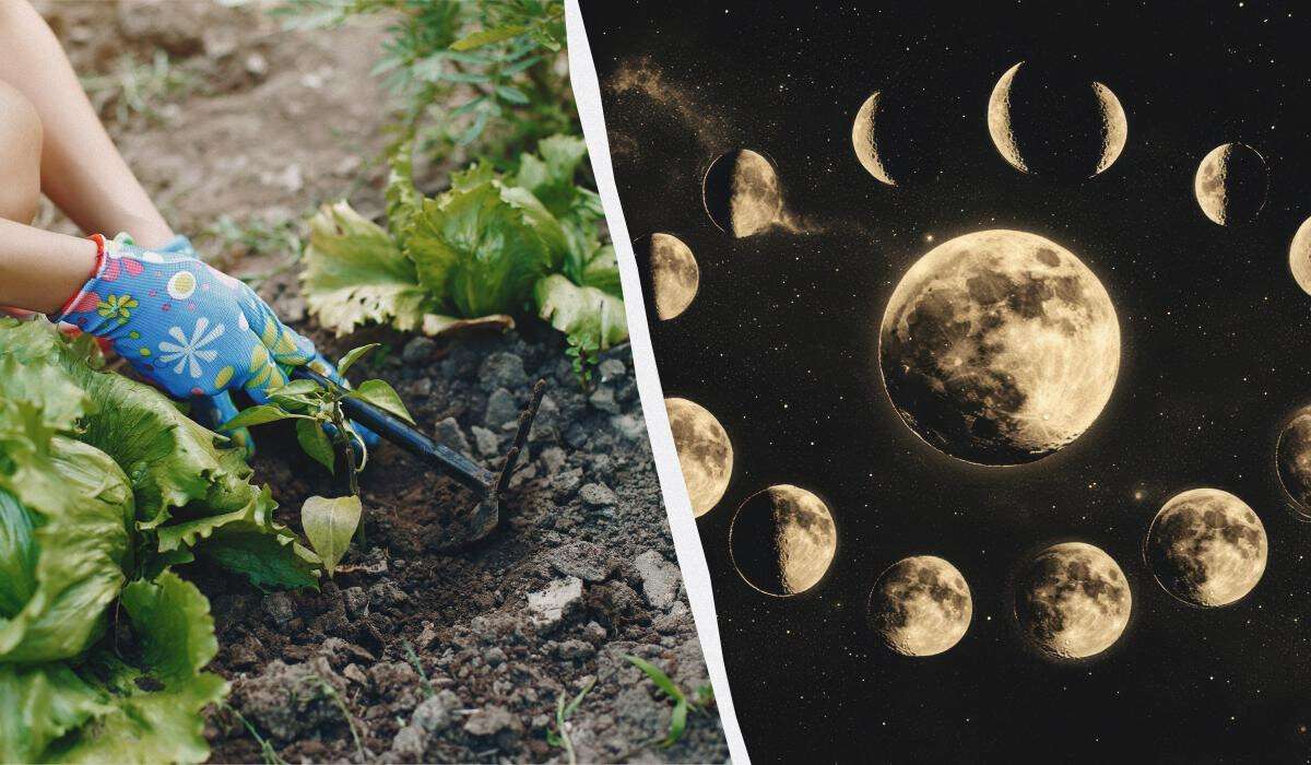 посівний календар на квітень