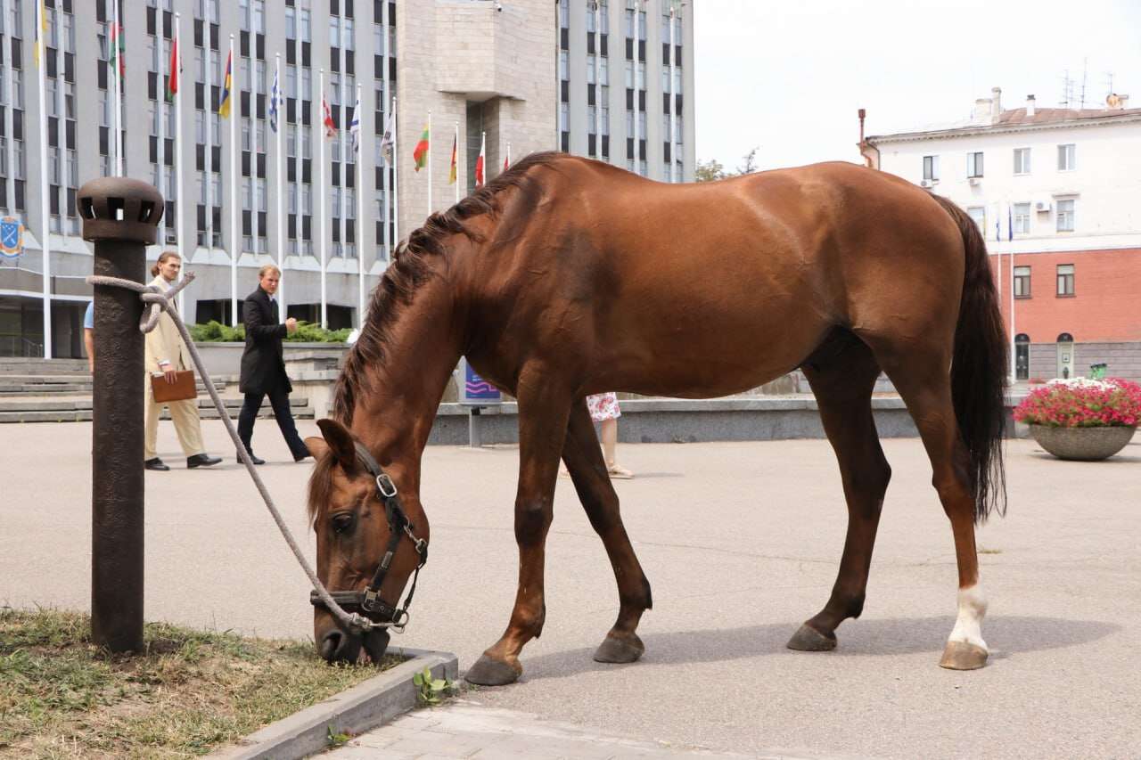 коновязь в Дніпрі