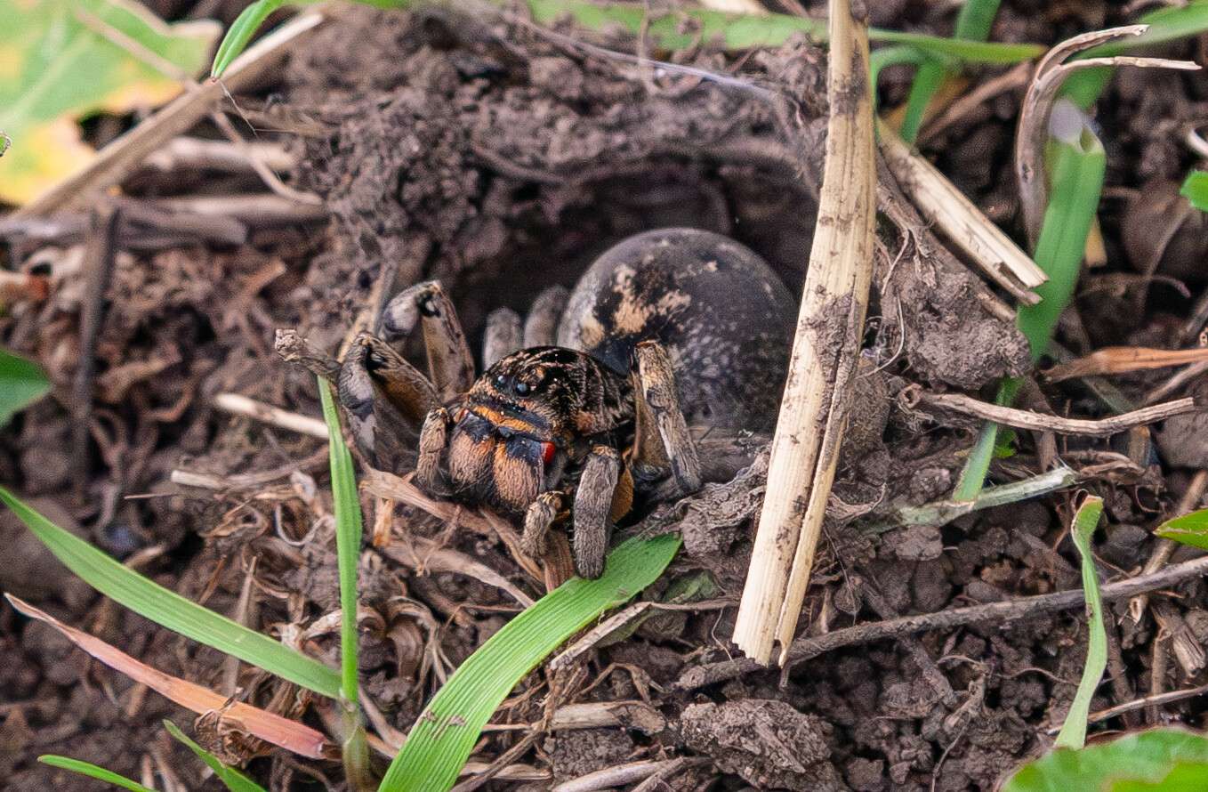 677002619_26591456427189175_4383175730937780007_n