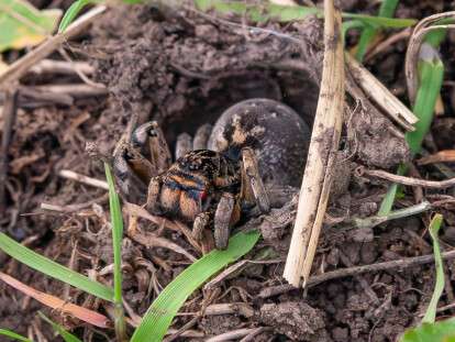 677002619_26591456427189175_4383175730937780007_n