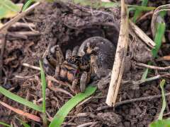 677002619_26591456427189175_4383175730937780007_n