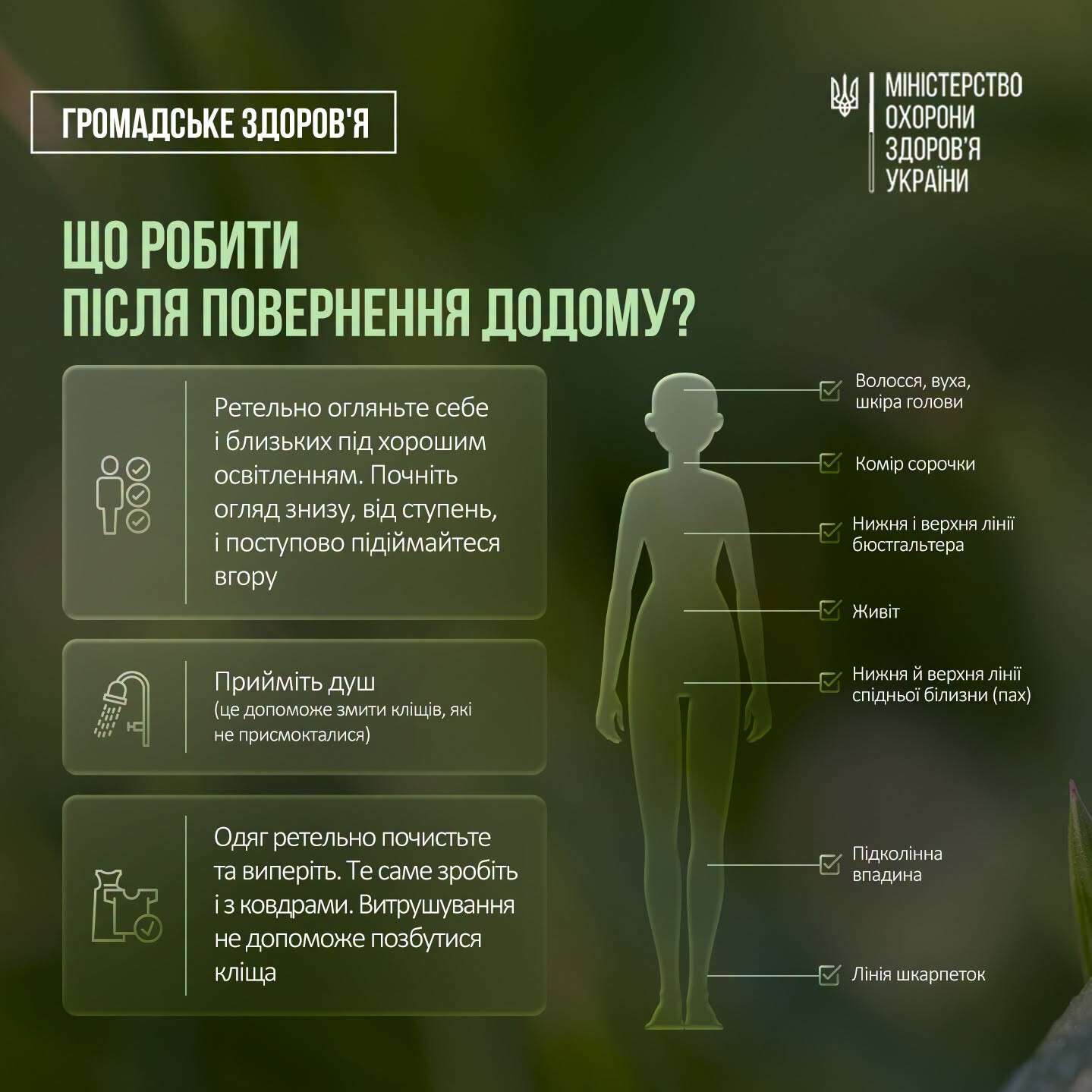 как уберечься от клещей в разгар сезона