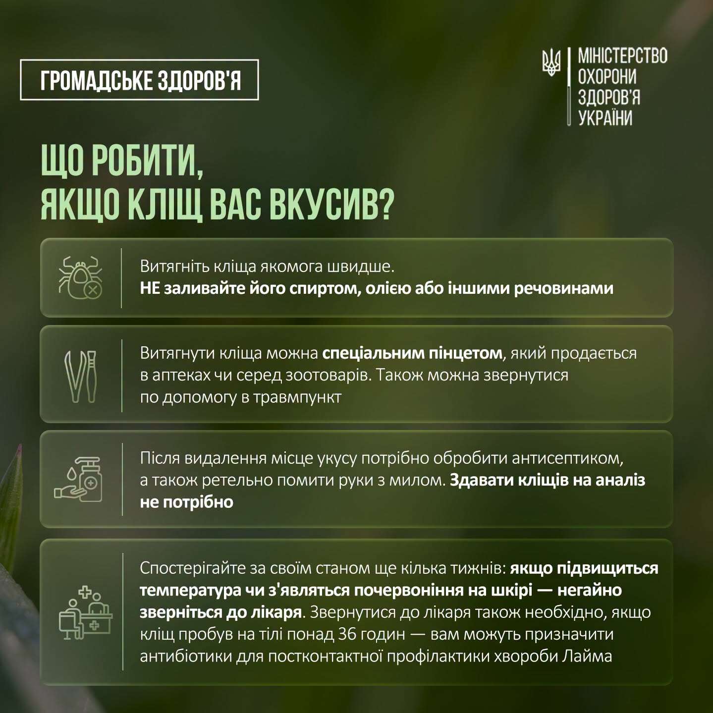 как уберечься от клещей в разгар сезона