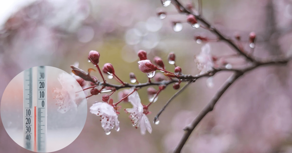 imgonline-com-ua-PicOnPic-gmxQ2NmfgOy