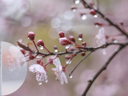 imgonline-com-ua-PicOnPic-gmxQ2NmfgOy