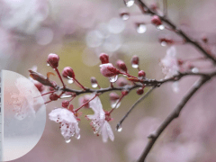 imgonline-com-ua-PicOnPic-gmxQ2NmfgOy