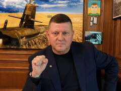 Залужний перемога