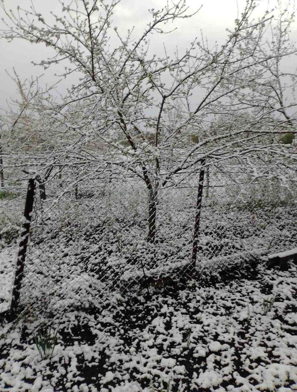 сніг у квітні Дніпро