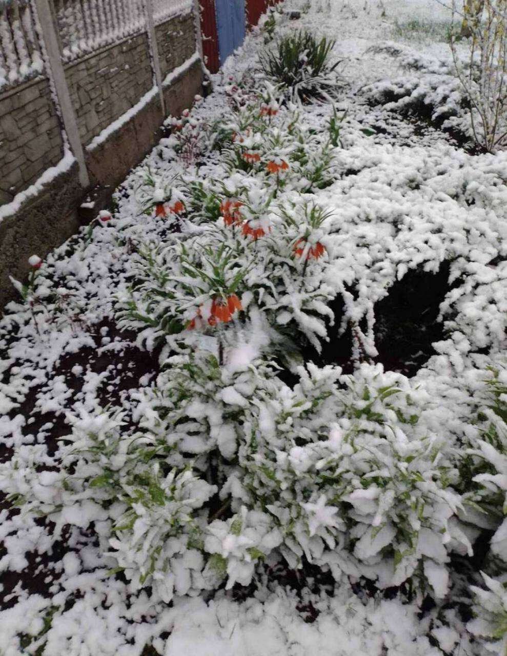 сніг у квітні Дніпро