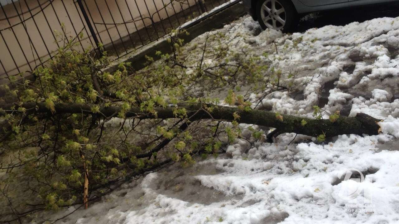 сніг у квітна Дніпро