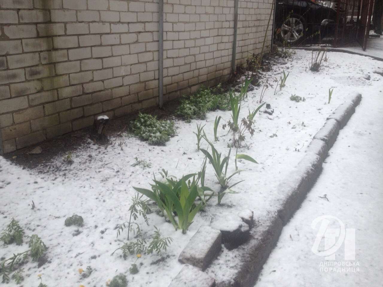 сніг у квітна Дніпро