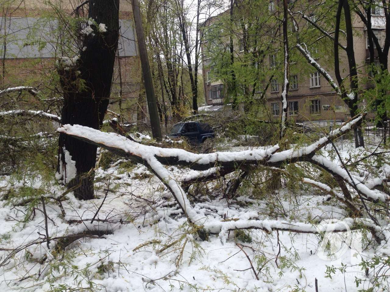 сніг у квітна Дніпро