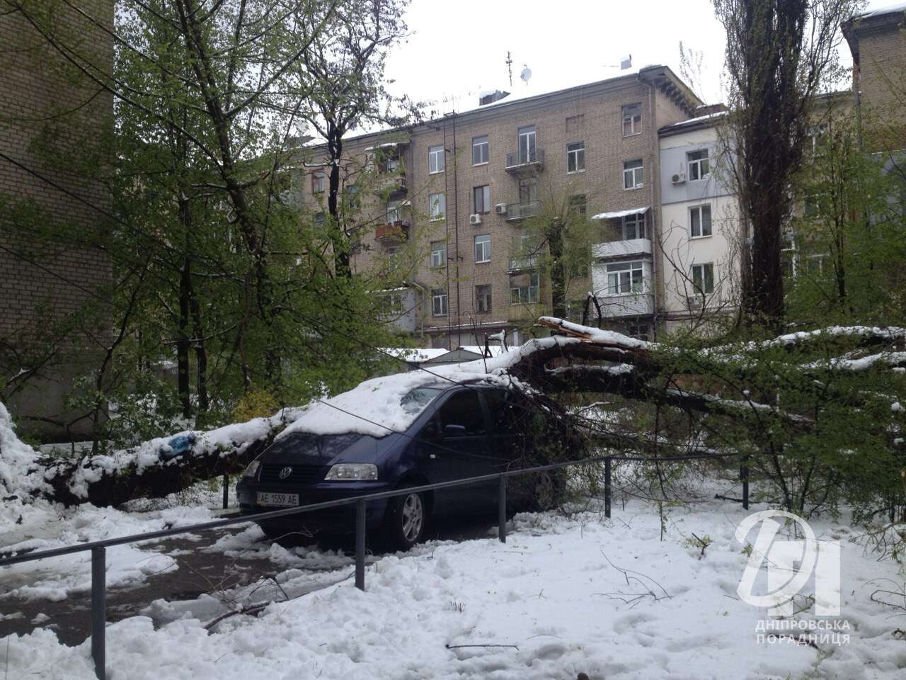 сніг у квітна Дніпро