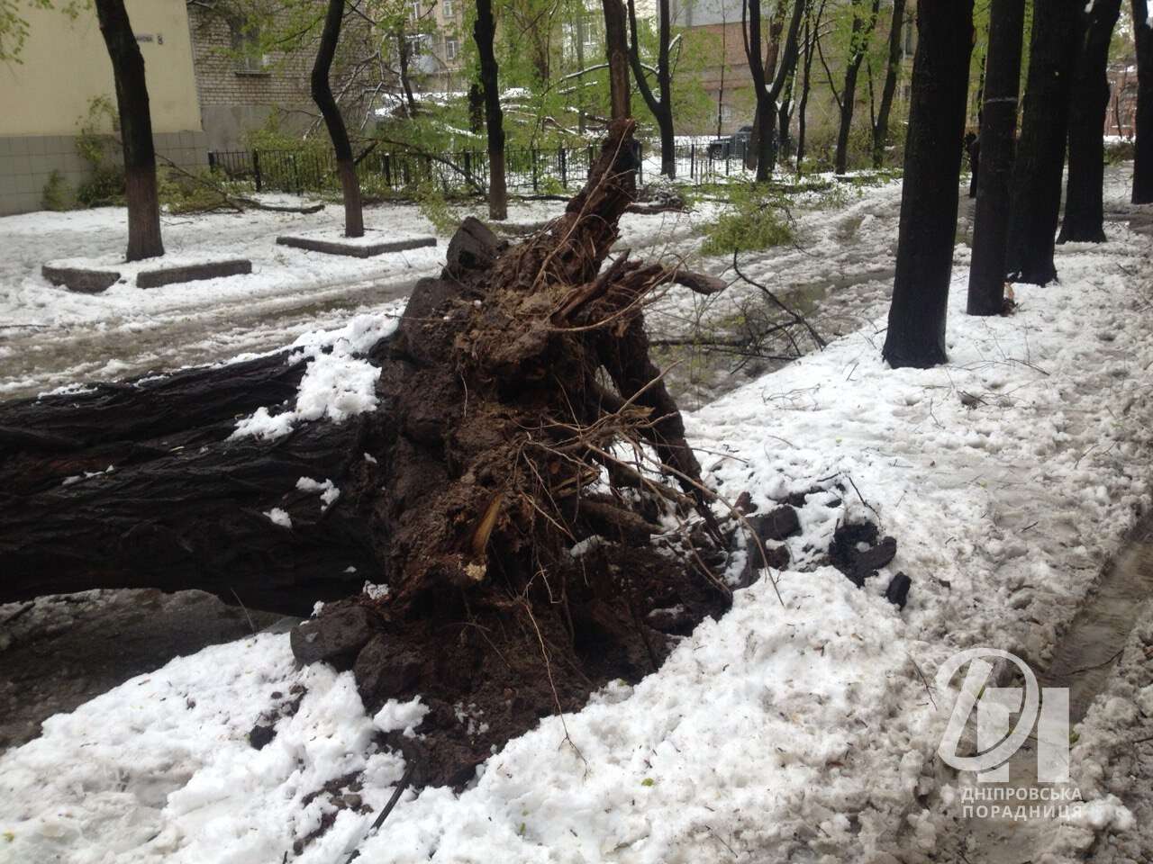 сніг у квітна Дніпро