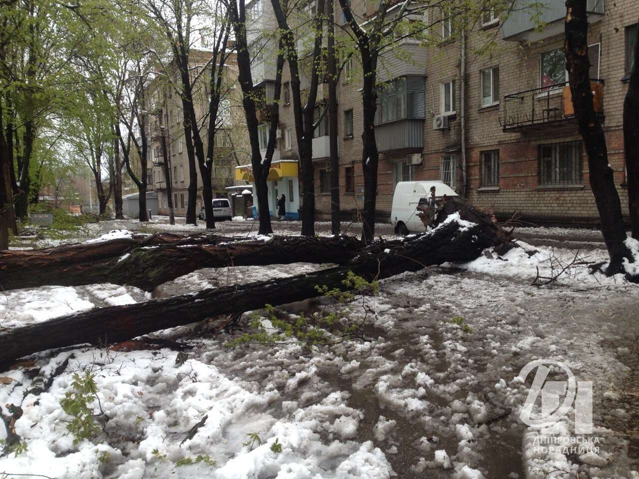 сніг у квітна Дніпро