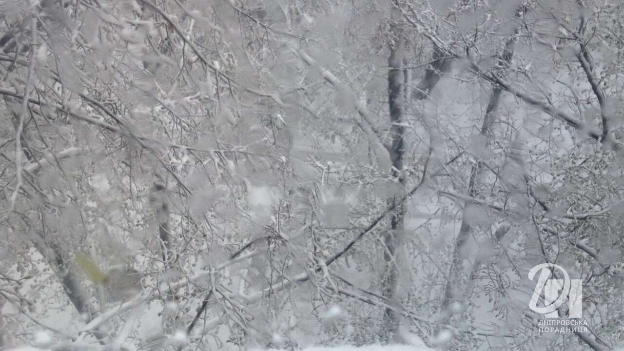 сніг у квітна Дніпро