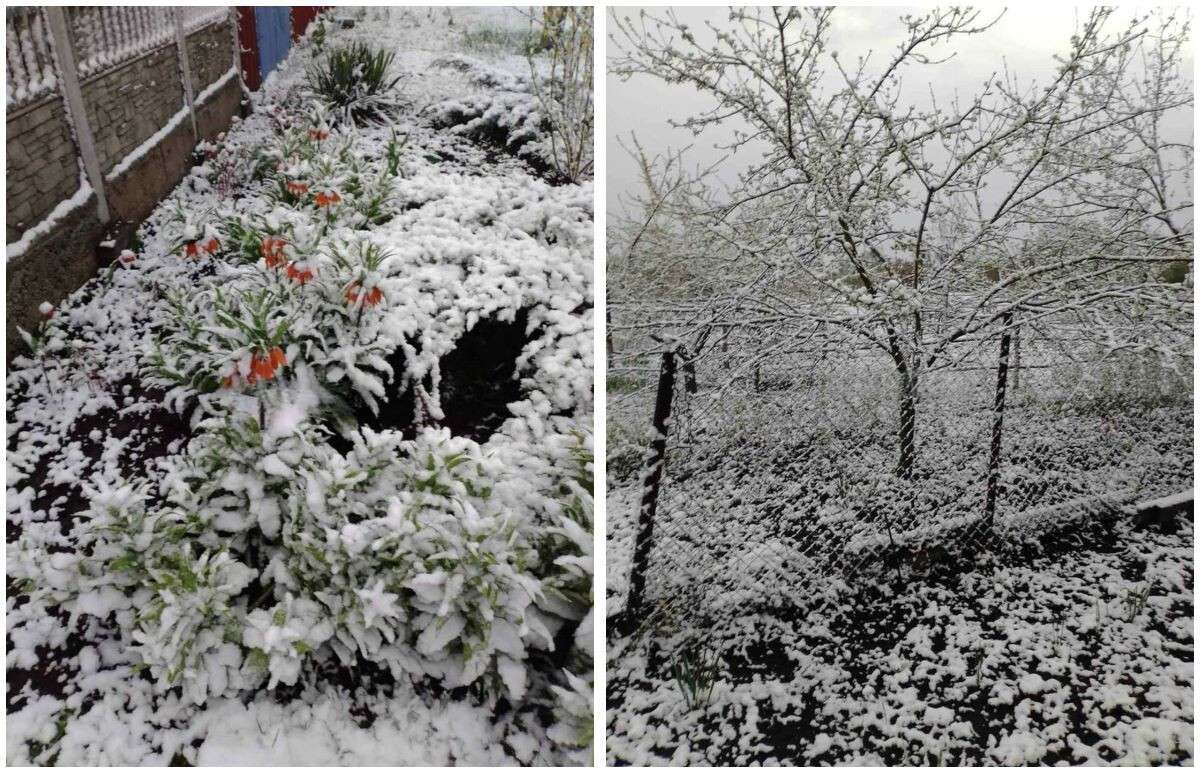 imgonline-com-ua-Collage-eWyYoJsVlBl