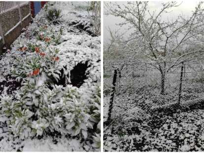 imgonline-com-ua-Collage-eWyYoJsVlBl