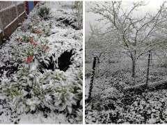 imgonline-com-ua-Collage-eWyYoJsVlBl