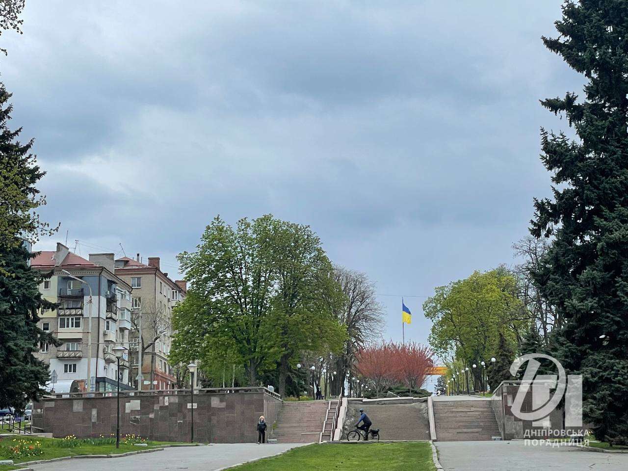 цветущие сакуры Днепр