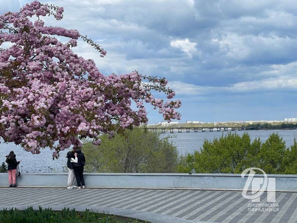 photo_2026-04-22_11-40-10