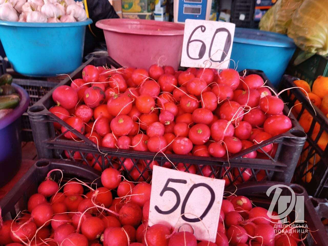 ціни на редис Дніпро