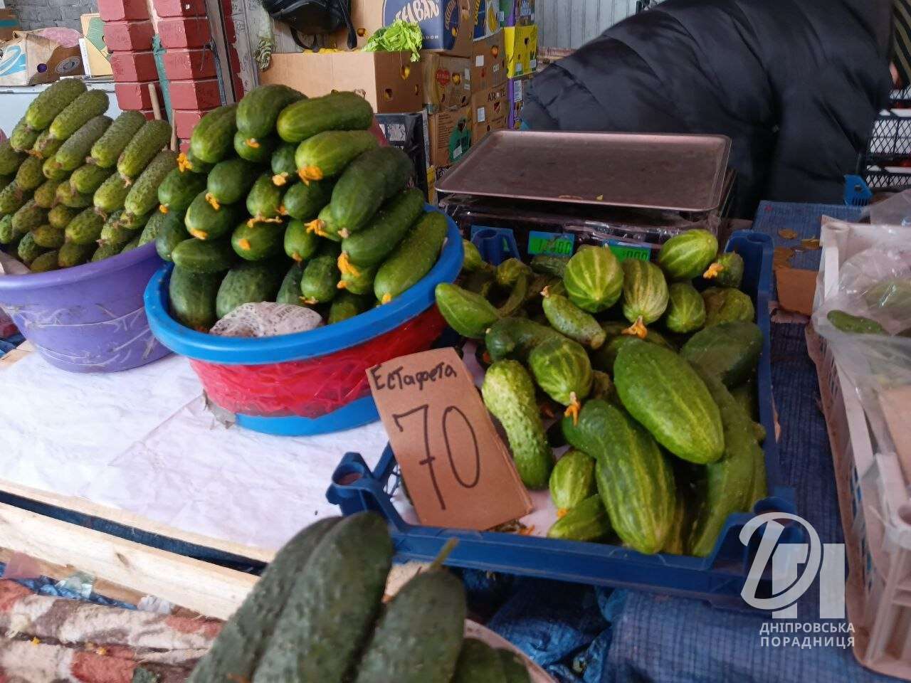 ціни на огірки Дніпро