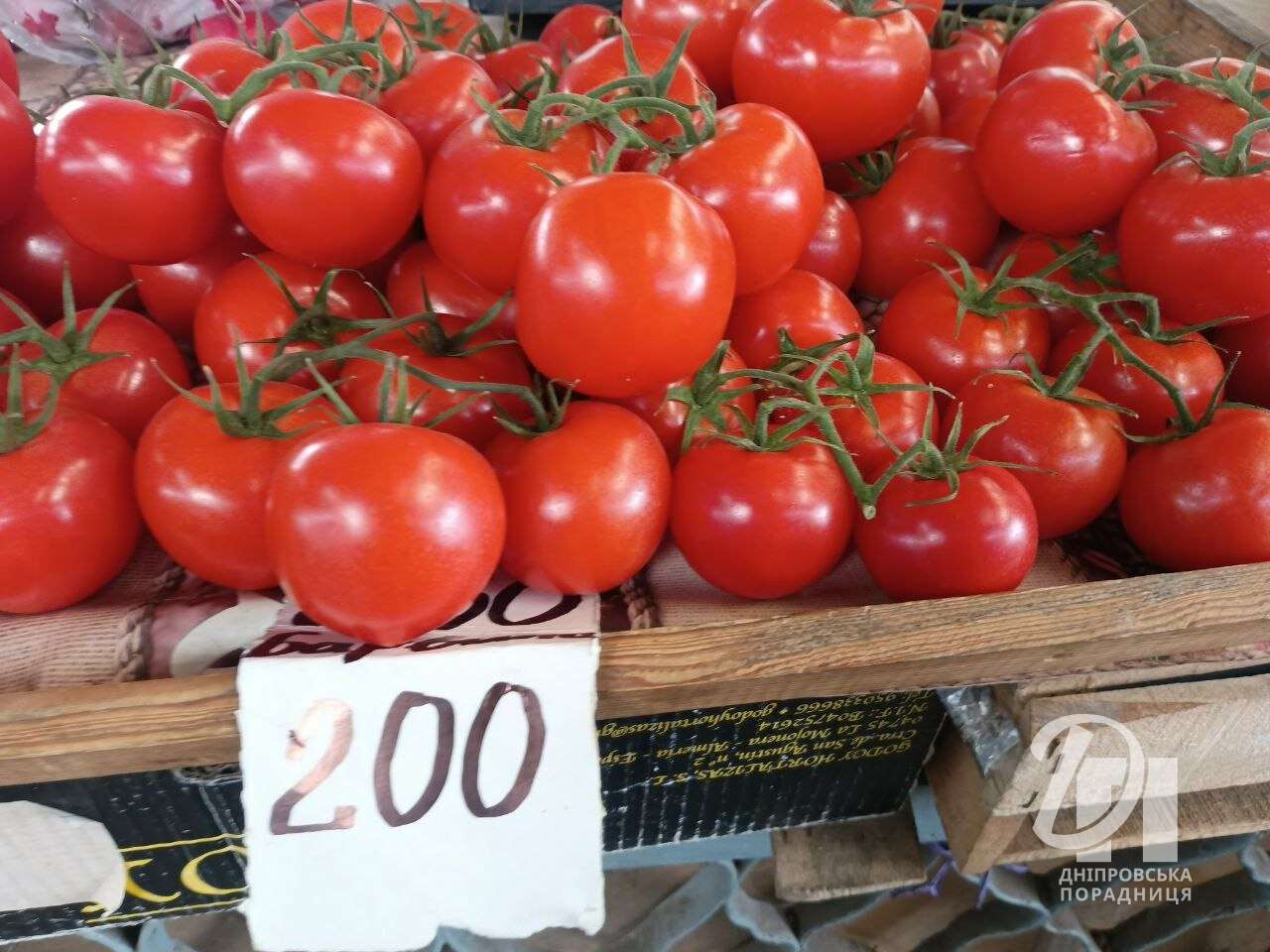 ціни на томати Дніпро