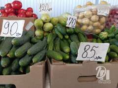 photo_2026-04-24_12-45-09