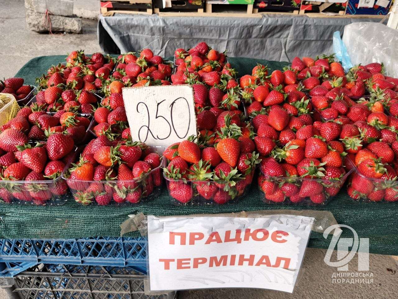 ціни на полулицю в Дніпрі 