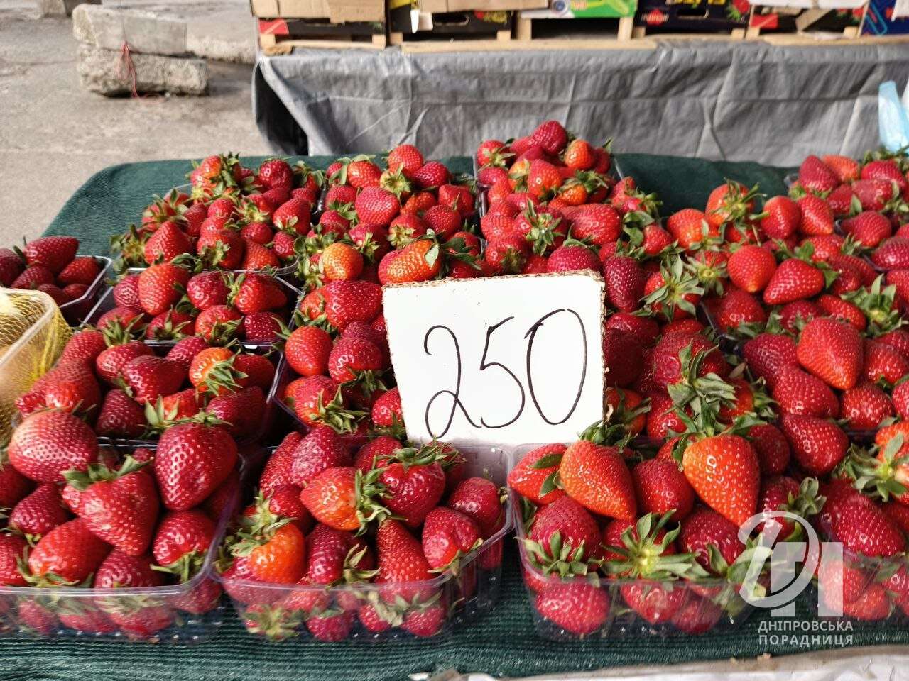 ціни на полулицю в Дніпрі 