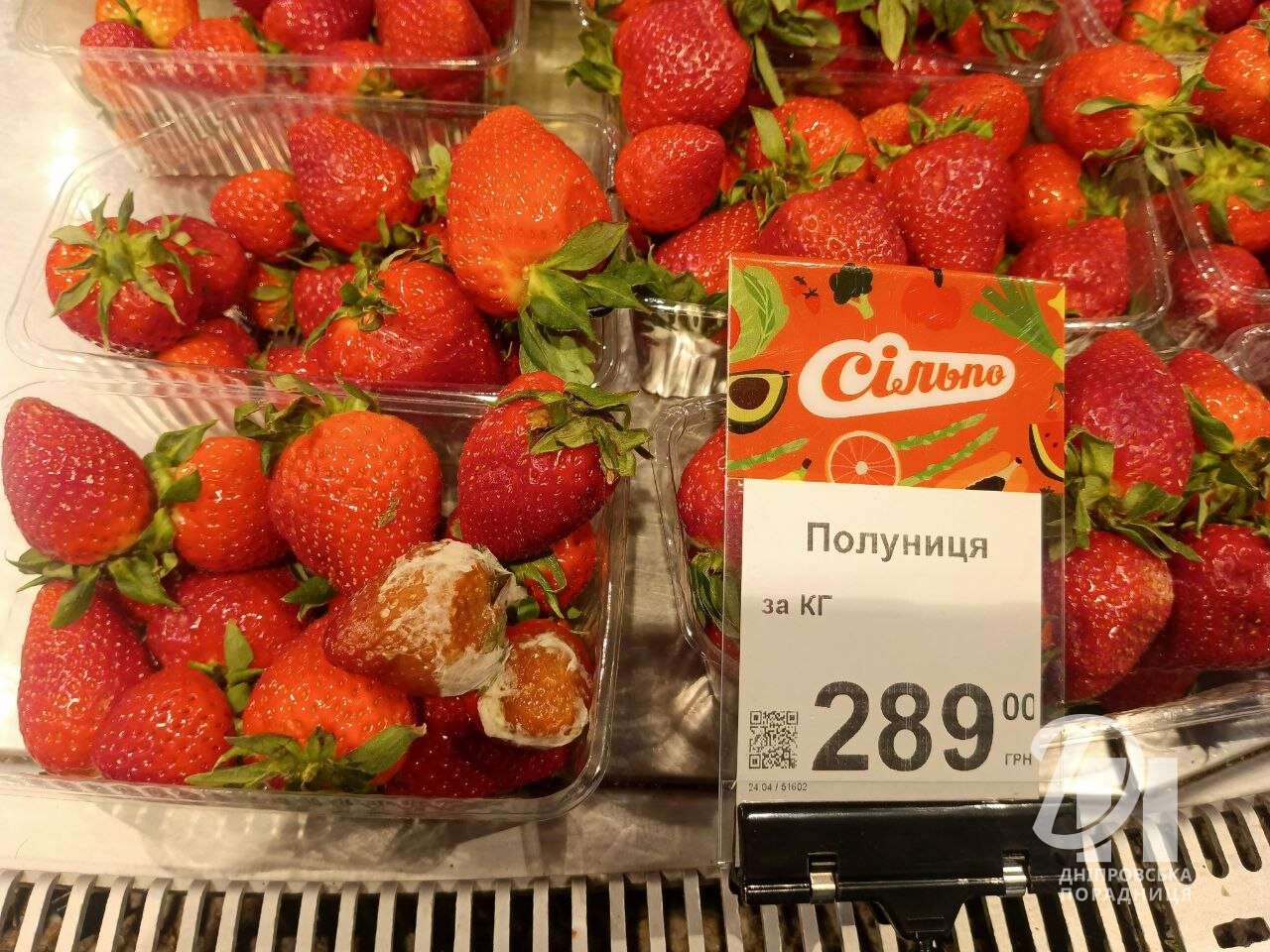 гнила полуниця