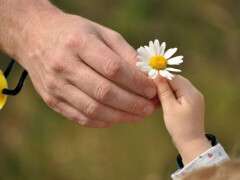 гороскоп щастя