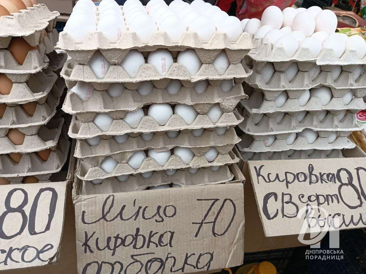 photo_2026-04-24_11-33-37