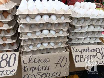 photo_2026-04-24_11-33-37