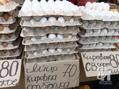 photo_2026-04-24_11-33-37