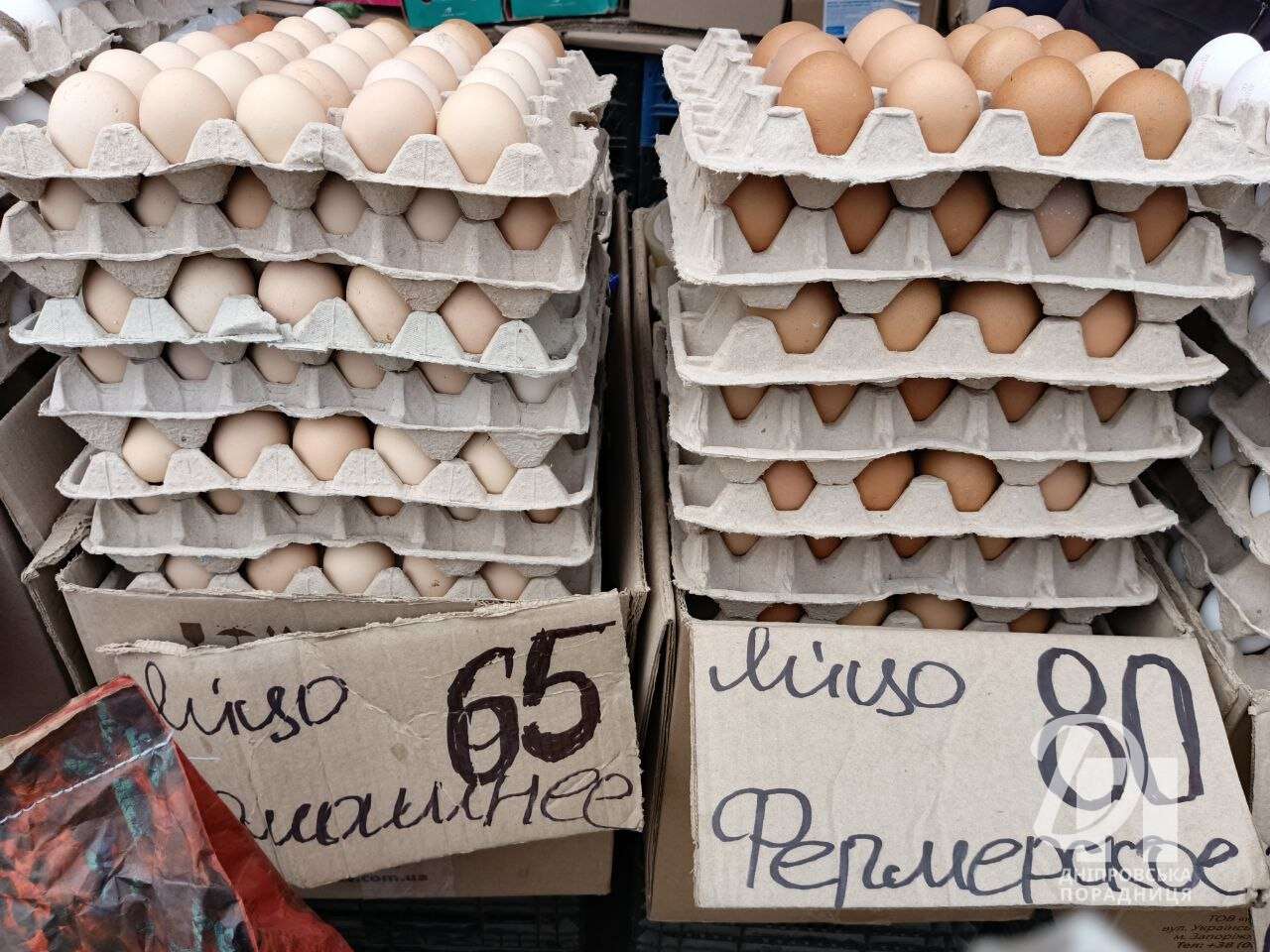 ціни на яйця Дніпро