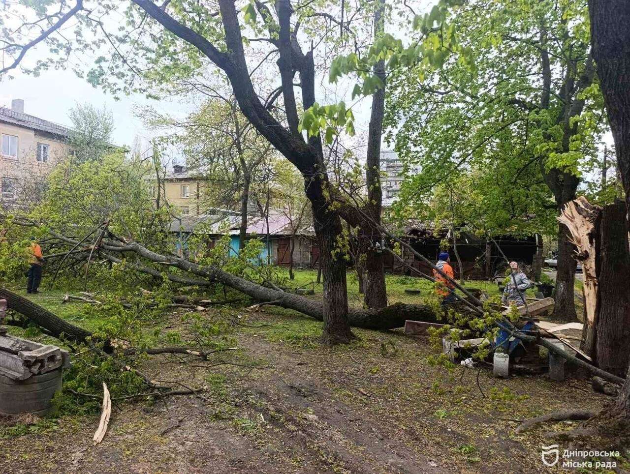 У Дніпрі продовжують ліквідовувати наслідки буревію: вже опрацьовано понад сотню заявок