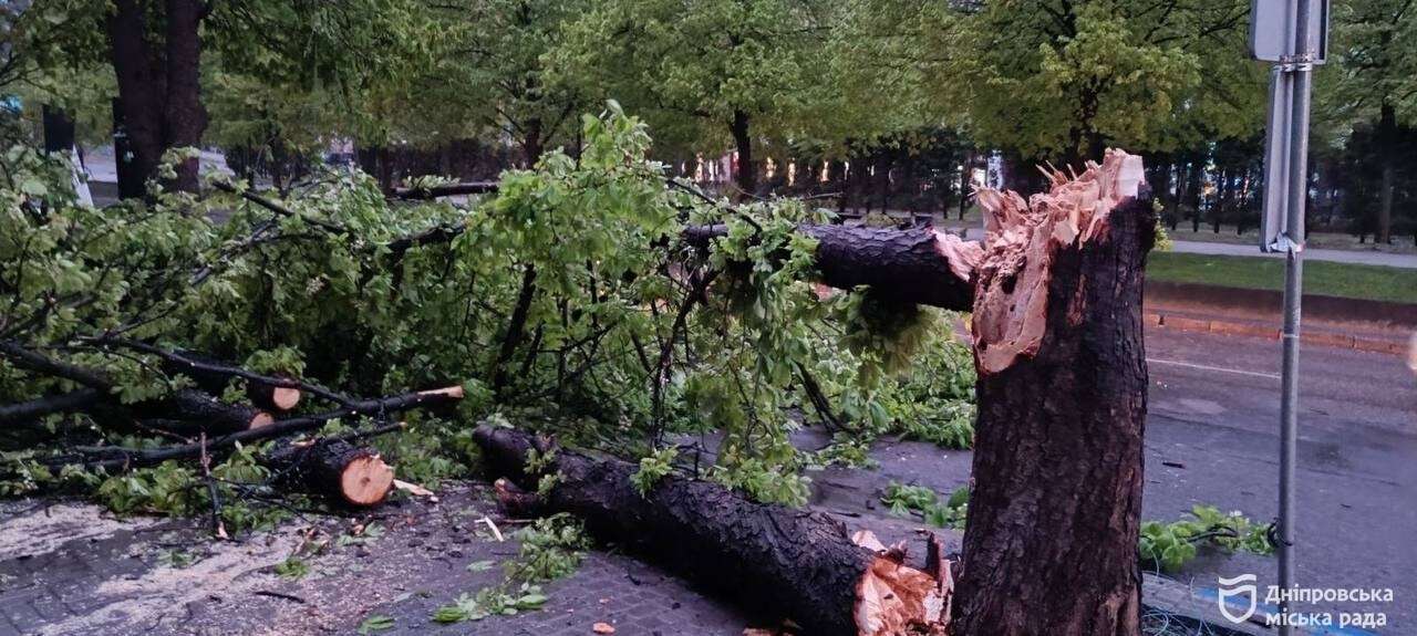 У Дніпрі продовжують ліквідовувати наслідки буревію: вже опрацьовано понад сотню заявок