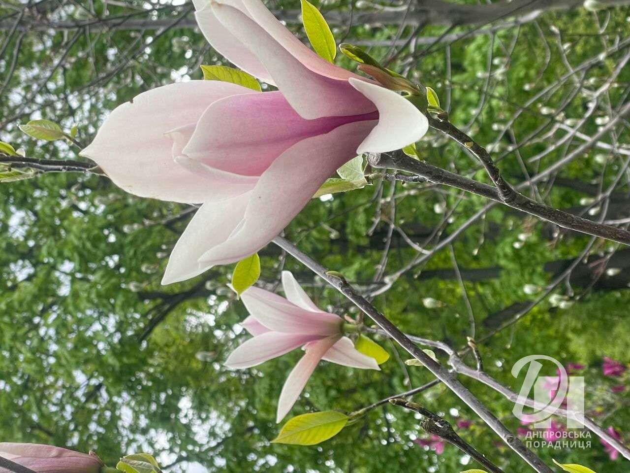 photo_2026-04-28_14-38-29