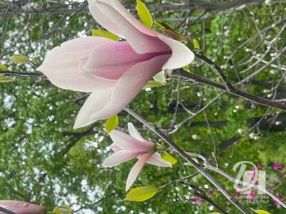 photo_2026-04-28_14-38-29