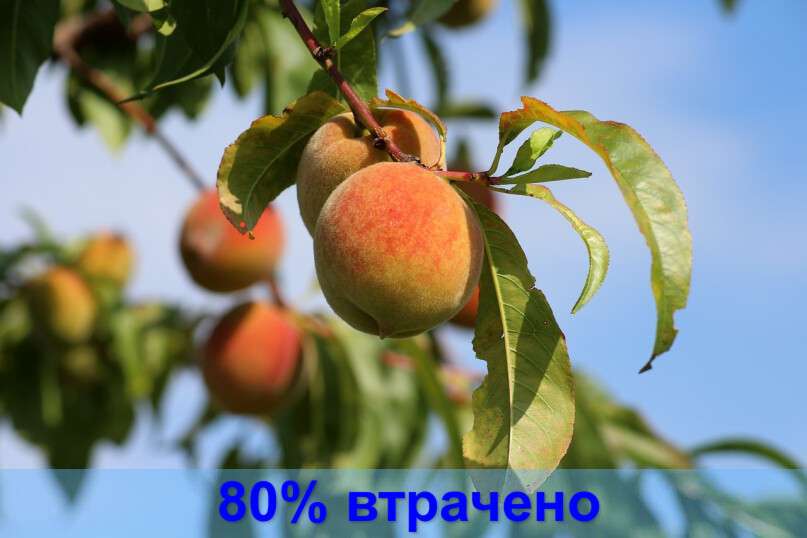 imgonline-com-ua-Text-on-Image-XnM1yC3HRSwSv6t8