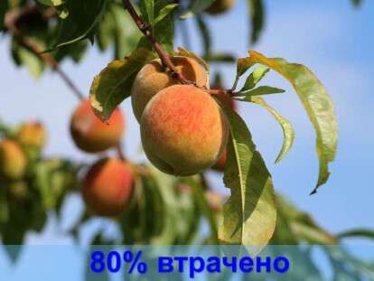 imgonline-com-ua-Text-on-Image-XnM1yC3HRSwSv6t8